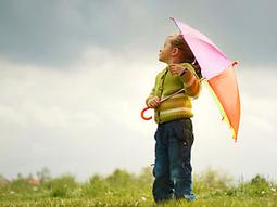 象與騎象人：全球百大思想家的正向心理學經典 9789861372990 Jiu Jing 歷史價格詳細信息