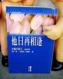 日出 電視小說 作者:藍祖蔚/天下文化2005年出版 歷史價格詳細信息