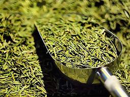 魅惑大姊姊 精明女狐系｜飛機杯自慰套 歷史價格詳細信息