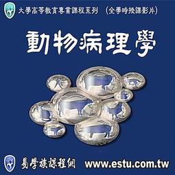 【99141】職業男女OFFICE ☆ STAR 款領帶夾 歷史價格詳細信息