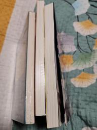 輕小說 打倒女神勇者的下流手段 「噢！死不了的勇者實在有夠煩。」 1 首刷 版 笹木さくま 遠坂あさぎ 角川 歷史價格詳細信息