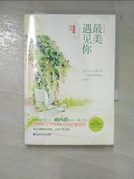 【露天書寶二手書T1/一般小說_GQI】親愛的路人_簡體_梅子黃時雨 歷史價格詳細信息