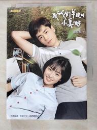 致我們單純的小美好 有書套 九成新 (網路劇書衣版) 趙乾乾 聯合文學 歷史價格詳細信息