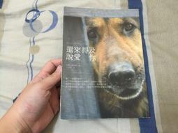 來得及 何炅 湖南美術出版社 歷史價格詳細信息