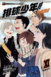 全新 排球少年 FLY HIGH 官方正版 限量絕版周邊 毛毯 毯子 歷史價格詳細信息