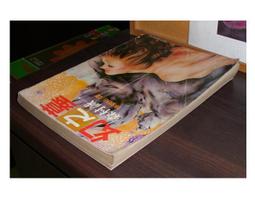 【森林二手書】《幻影大師Mirage-視訊圖騰密碼》ISBN:9861812326│碁峰│陳俊宏 歷史價格詳細信息