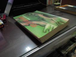 知2B29A  晨星出版 貓戰士首部曲之III  秘密之森  9789861772271 歷史價格詳細信息