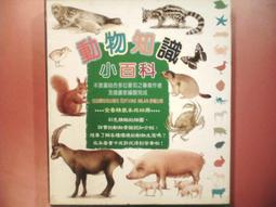 兒童書籍《數學小偵探》│康軒文教事業│施曉蘭  無書寫 11K 歷史價格詳細信息