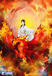 晶品屋【小說頻道】天道圖書館75        送書套      2018/10/24 歷史價格詳細信息