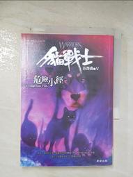 《危險小天使》ISBN:9577540880│啟現│泰德．史達斯（Todd Steasser）│全新 $50 歷史價格詳細信息