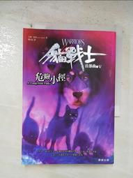 《危險小天使》ISBN:9577540880│啟現│泰德．史達斯（Todd Steasser）│全新 $50 歷史價格詳細信息