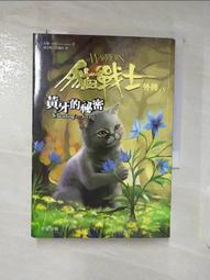 【祕密貓二手書坊】台灣 中華民國 愛鄉更愛國 迎接自強年委員會 紀念徽章 胸章 紀念章 佩章/ H112 歷史價格詳細信息