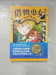 暢銷全美小說*魔女高校(2):惡魔玻璃 &amp; (3) 魔力封印│漫遊者│Rachel Hawkins│九成新每本180元 歷史價格詳細信息