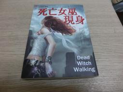 林美美 檳榔西施的眼淚  CD專輯 二手 E12 歷史價格詳細信息