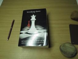 【Breaking wave】ILLAZOO | 暢銷項鍊 飾品配件 流行配件 苡菈 水晶 最新流行 送禮首選 情人節 歷史價格詳細信息