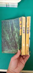 2本合售 武俠小說 有釘無章 鏞公 大漠射鵰後傳 上+下冊 皇鼎 無劃記 D34 歷史價格詳細信息