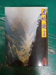 小說 無章釘 《流轉之年－網路小說》ISBN:9866285301 藤井樹 商周出版 無劃記 P46 歷史價格詳細信息