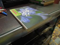 知V15G  丟掉飯碗找回人生的一年  高寶  9789861854953 歷史價格詳細信息