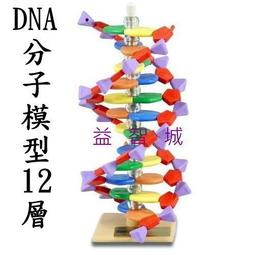 益智城《分子模型/有機分子模型/原子模型/化學教具/ 實驗器材教具》英國Molymod--有機分子模型教師用組 歷史價格詳細信息
