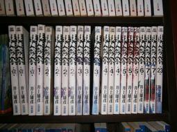 每片40~剩左下那一片 歷史價格詳細信息