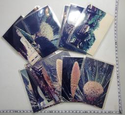 【台灣博土TWBT】201401-019  台灣省苑裡農田水利會信箋(內有家書) 歷史價格詳細信息