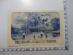 土地公婆樹脂彩繪佛像土地公土地婆神像福德正神客廳招財鎮宅擺件 歷史價格詳細信息