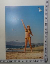 【台灣博土TWBT】201402-002 民國59年等 雄獅鉛筆廠2張明星月份卡+酒井法子彩色護貝相片[不分售] 歷史價格詳細信息