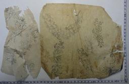 【台灣博土TWBT】201412-014 民國71年 雜誌《中國報導》第975期 歷史價格詳細信息