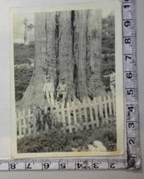 【台灣博土TWBT】201808-032 臺北市防護大隊第二區隊  隊員證  民國40年12月 歷史價格詳細信息