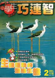 台灣的紅樹林明信片 歷史價格詳細信息