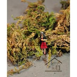 (花花手作材料)M63--可愛腳踏車花器**有現貨 歷史價格詳細信息
