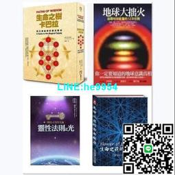 【小楊甄選】花草圖案鐳射精美吉他護板個性吉它防刮傷保護板 歷史價格詳細信息