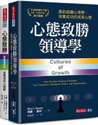 《天下》杜甫麻煩小姐(全1冊)張曼娟【頭大大-童書】十07◎BN1 歷史價格詳細信息