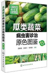 圖鑒版 瓦萊帕徐祝老人 銅點料 2521年 小供奉 儲蓄老人4985 歷史價格詳細信息