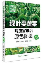 圖鑒版 瓦萊帕徐祝老人 銅點料 2521年 小供奉 儲蓄老人4985 歷史價格詳細信息