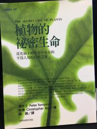京士霸尼龍十字芯拉絲輪 高效打磨拋光專用打磨輪拋光纖維輪 歷史價格詳細信息
