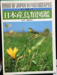 古今書廊《図解隷書の書き方》二瀬西恵│木耳社│4839324549 歷史價格詳細信息