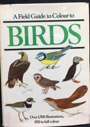 Birds: A Question and Answer Book/Martin, Isabel 文鶴書店 Crane Publishing 歷史價格詳細信息