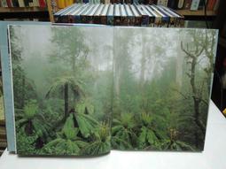 U1萬艾生新款砭石眼部按摩器 熱敷震動 導入按摩美容儀電動家用 歷史價格詳細信息