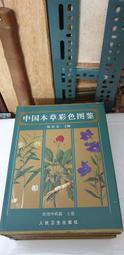 F1552 (簡)傳染病實用方 顧武軍/主編 江蘇科學技術出版 1993 歷史價格詳細信息