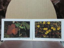 #187# 36D 38D 40D 42D 豆粉色 蕾絲表布 有鋼圈 軟布薄棉 極舒適 衣褲分售 偏大尺寸 歷史價格詳細信息