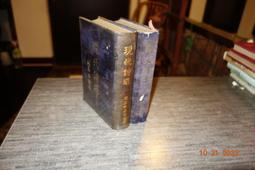 附照片《打噴嚏》ISBN:9865706357 春天 九把刀 書況佳 無劃記 X73 歷史價格詳細信息