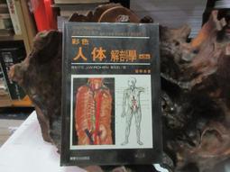 彩印 人體肌肉拉伸手法圖解上下肢套裝2冊 歷史價格詳細信息