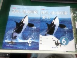 無書寫合售 升大學 高二 學科能力測驗 自然通 II A.B冊 生命科學 上/下 物質科學地球科學篇 含解答 龍騰73H 歷史價格詳細信息