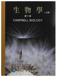 <建宏>(附書套)為美好的世界獻上祝福1-17集 台灣角川輕小說 歷史價格詳細信息