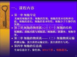 5A008西西里的時光!格紋洋裝 歷史價格詳細信息