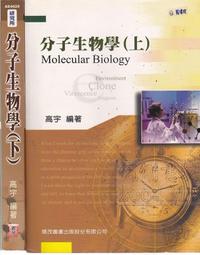 [售完] 2004年 絕版品 正版商品 全新品 SAN-X 懶懶熊 拉妹 懶妹 拉拉熊 白絨毛玩偶大公仔 約50cm高 歷史價格詳細信息