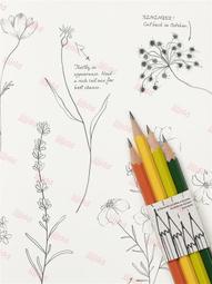 英國創意化妝包大小組合防水印花旅行洗漱收納包女士零錢包手拿包 歷史價格詳細信息