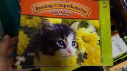Reading Comprehension, Grade 1【禮筑外文書店】[75折] 歷史價格詳細信息
