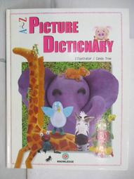 A DICTIONARY Of The EPISCOPAL CHURCH 11TH &amp; 14TH Ed George Tucker Christianity 歷史價格詳細信息